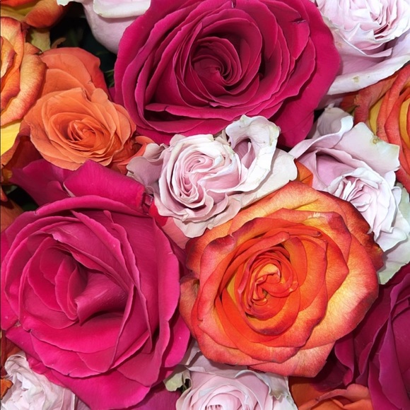 Meet your Posher, Vic - Picture 1 of 1